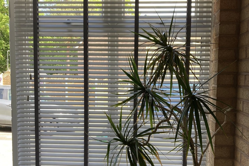 Venetian Blinds