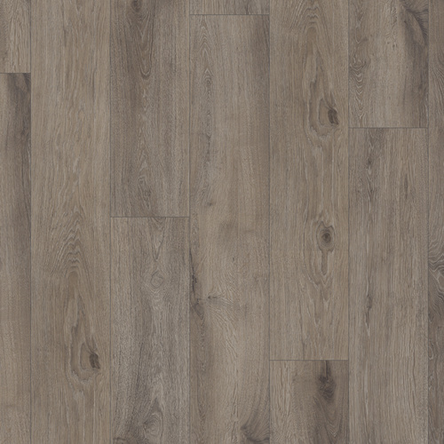 Taupe Oak